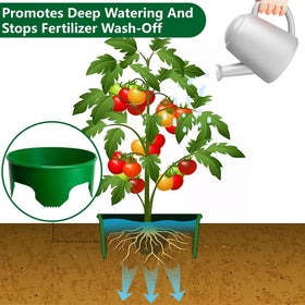 EBaokuup plant ring creates a boundary to reduce runoff.