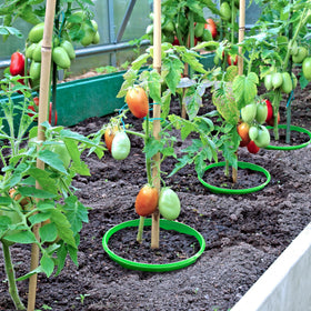 EBaokuup plant ring pack of 6 versatile for many plants.