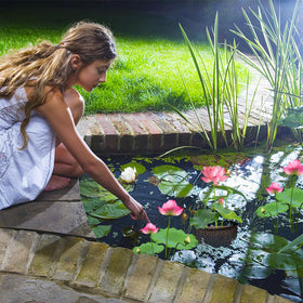 EBaokuup 7-inch base size fits lilies and similar aquatic plants