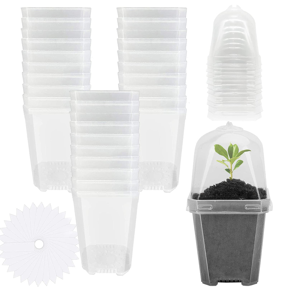 EBaokuup clear 3-inch nursery pot top view for seedlings