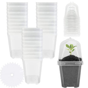 EBaokuup clear 3-inch nursery pot top view for seedlings