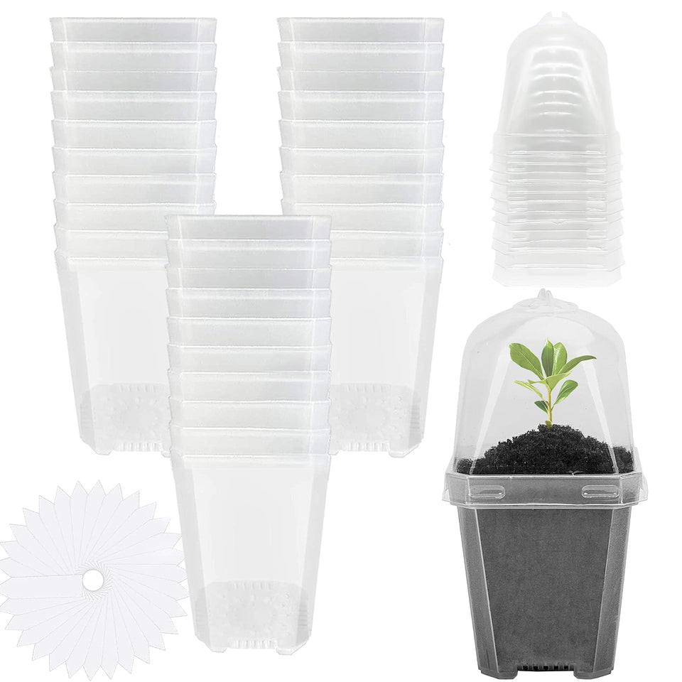 EBaokuup clear 3-inch nursery pot top view for seedlings