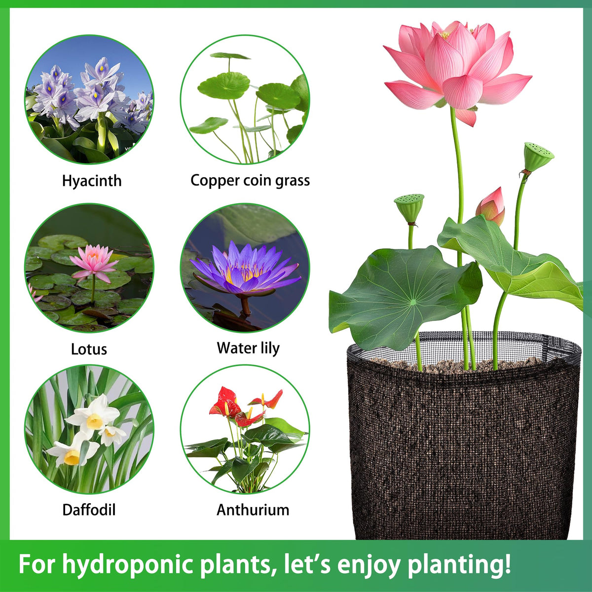 EBaokuup lily plant bag in water demonstrates root access and containment