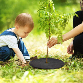 EBaokuup root protection for trees emphasizes soil temperature maintenance.