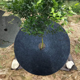 Tree protection for new plantings using EBaokuup rings