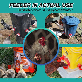 EBIUF 6-port gravity feed ports for multi-bird feeding