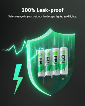 Professional storage case included for EBL batteries.