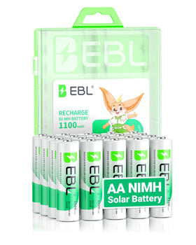 EBL packaging variations image shows different box styles.