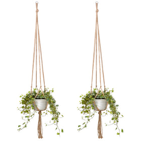EBOOT austere neutral tone macrame plant hanger blends with decor