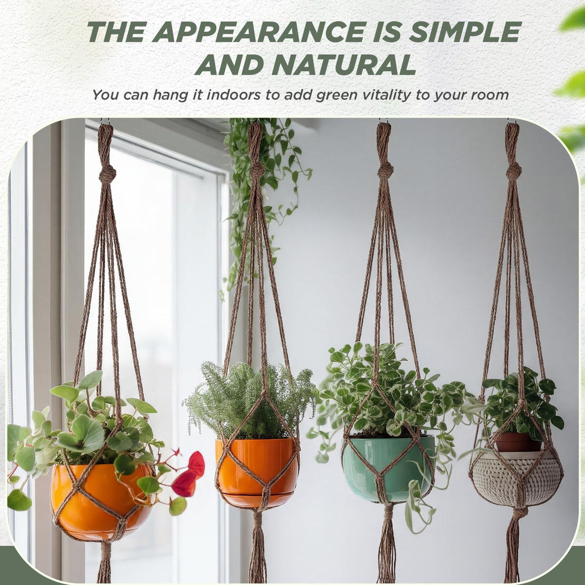 EBOOT indoor-outdoor plant display for flexible styling