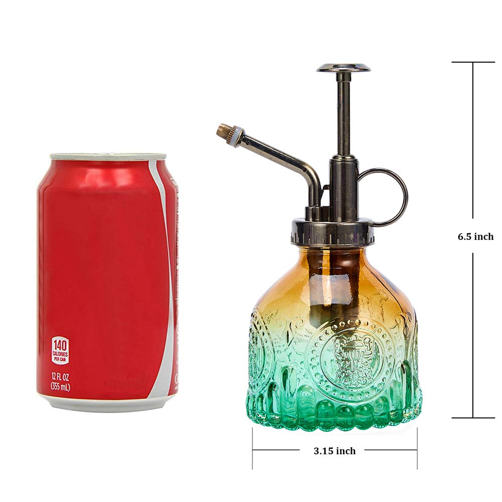 Ebristar glass mister top pump with metallic finish for precise spraying.