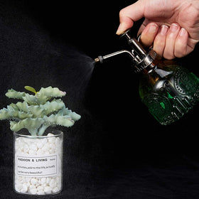 Ebristar succulent watering bottle resting on a plant stand as decor.