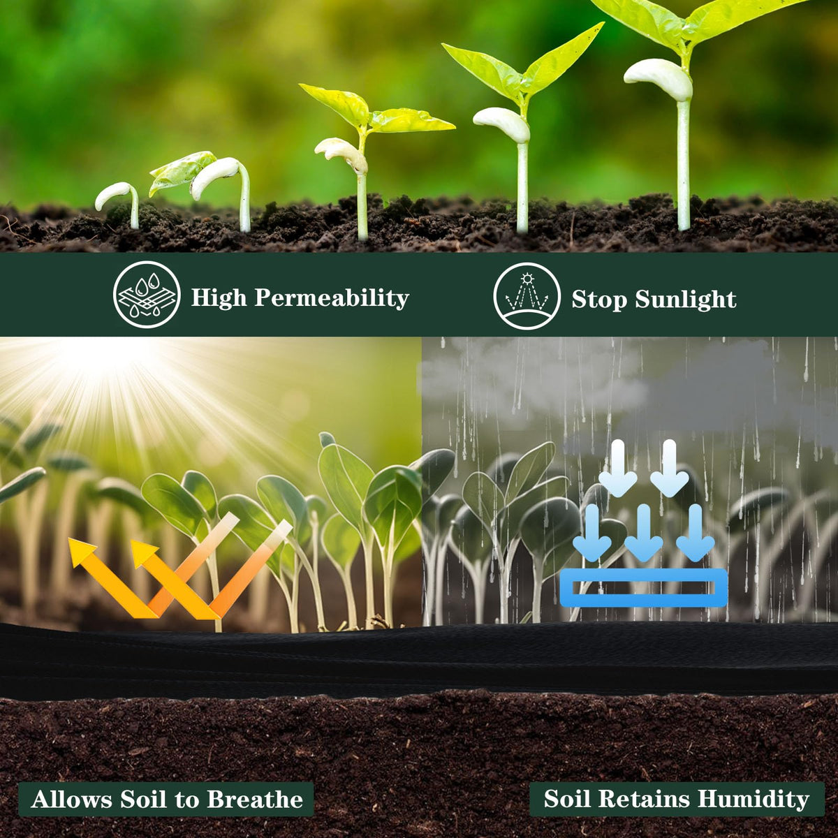 ECcandiedhaws green gaskets help anchor the barrier and resist weed growth around beds.