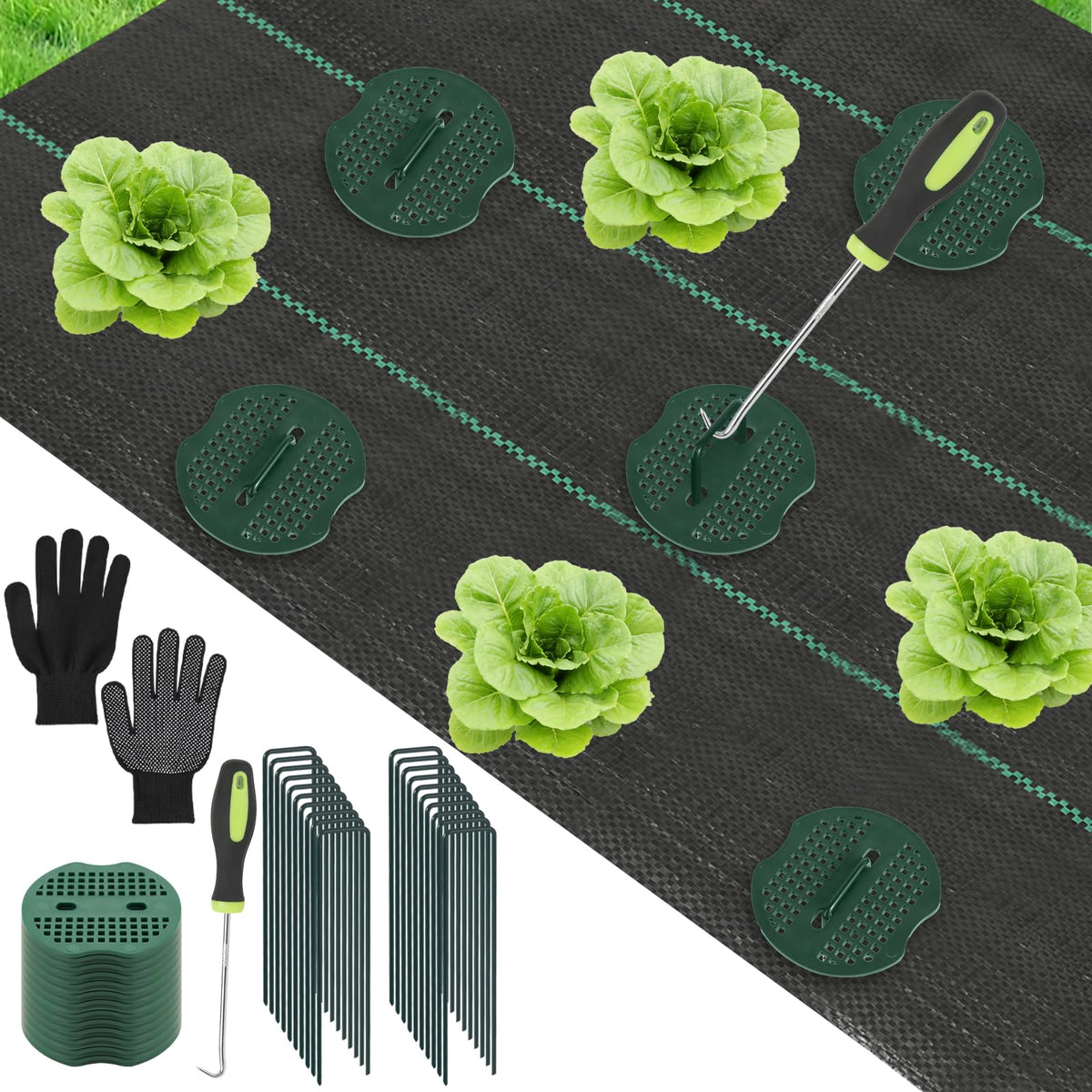 ECcandiedhaws weed barrier fabric 4ftx50ft protects soil while promoting airflow for healthy plants.