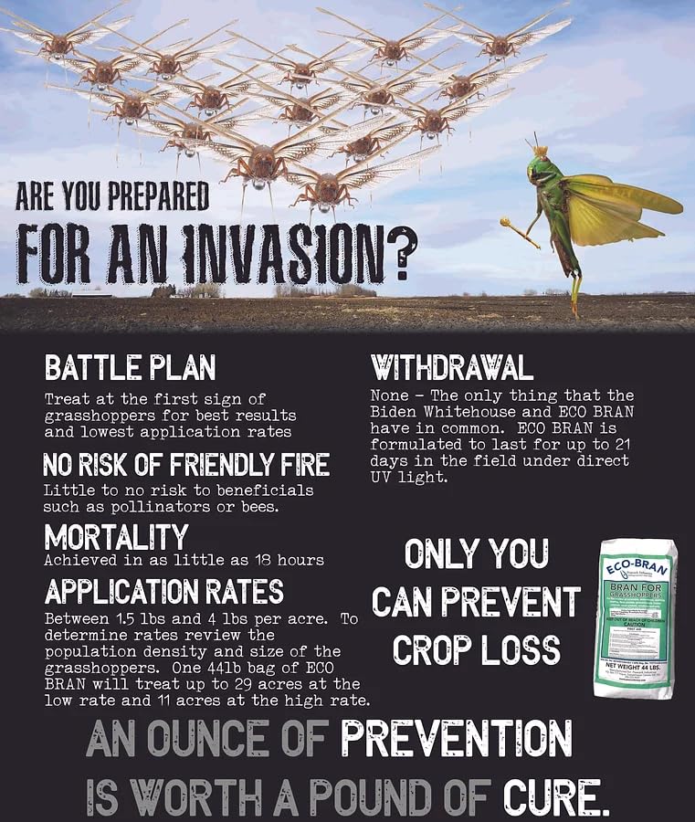 Eco-Bran bait being spread as a perimeter treatment to prevent pest incursions.