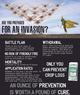Eco-Bran bait being spread as a perimeter treatment to prevent pest incursions.