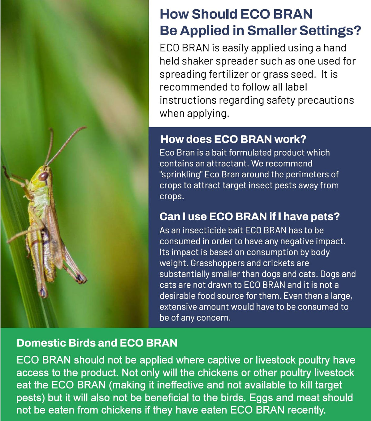 Eco-Bran yard-wide coverage example implies broad pest control across lawns and pathways.