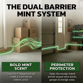 Eco Defense peppermint mouse spray near entry points blocks rodent intrusion
