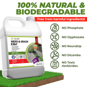 ECO Garden PRO on a lush lawn for safe, eco-friendly weed control