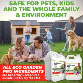 ECO Garden PRO RTU spray in action for fast weed control