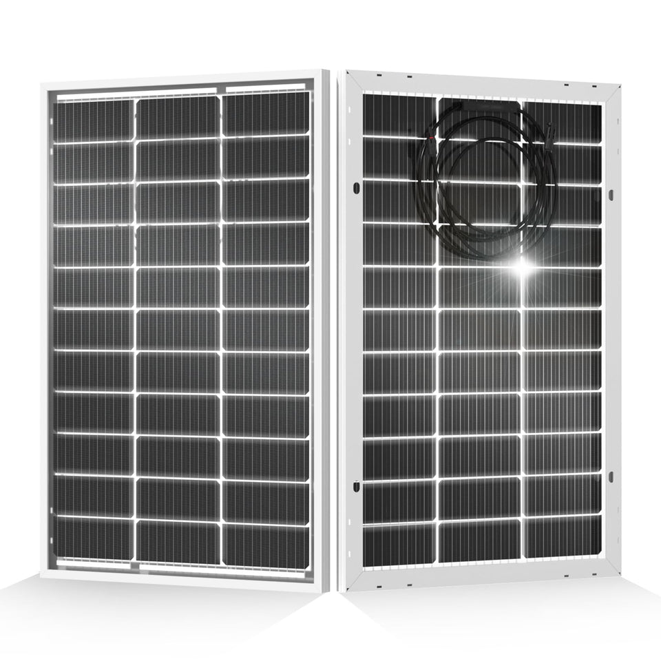 Eco-Worthy 200W bifacial duo pack with two panels for off-grid power.