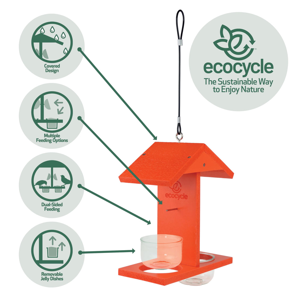 EcoCycle Citrus Sampler dual-sided design supports multiple feeding options.