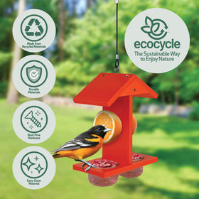EcoCycle Citrus Sampler dual-sided feeding with fruit spikes for orioles.