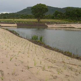 Ecoduty ribbed design stakes provide strong soil grip and holding power.