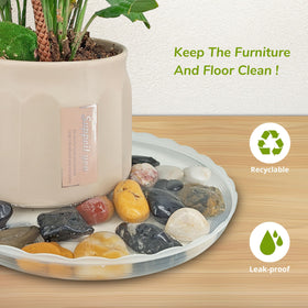 ECOESPTI clear plant saucer 10in supports larger pots while keeping surfaces dry.