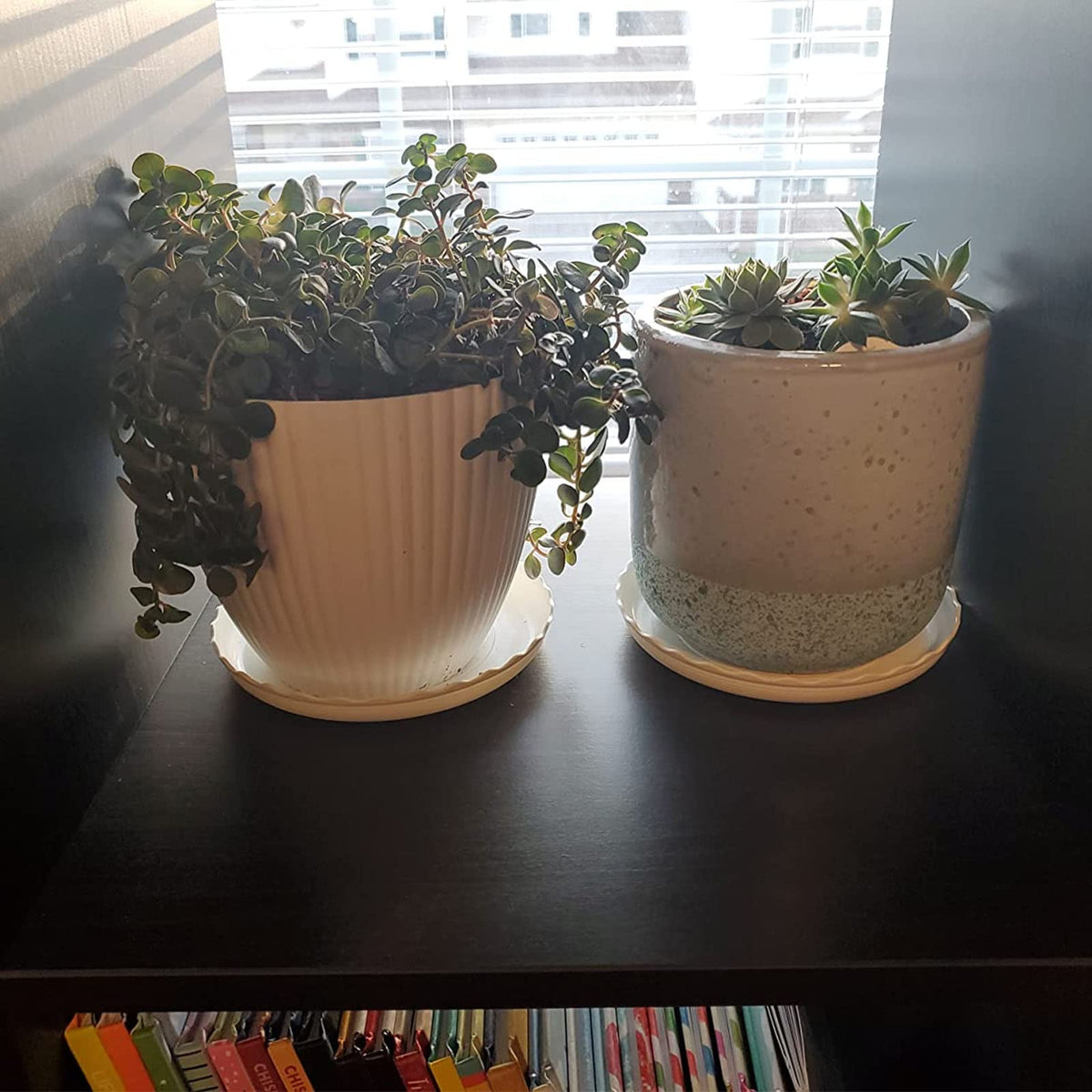 ECOESPTI durable plastic construction ensures long lasting plant saucers