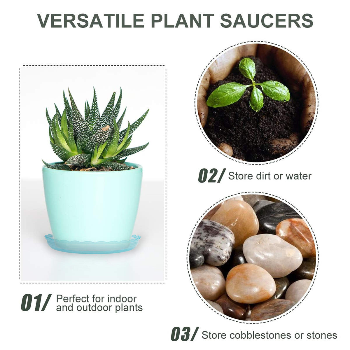 ECOESPTI durable PP plant tray 8in ideal for decorative rock arrangements.