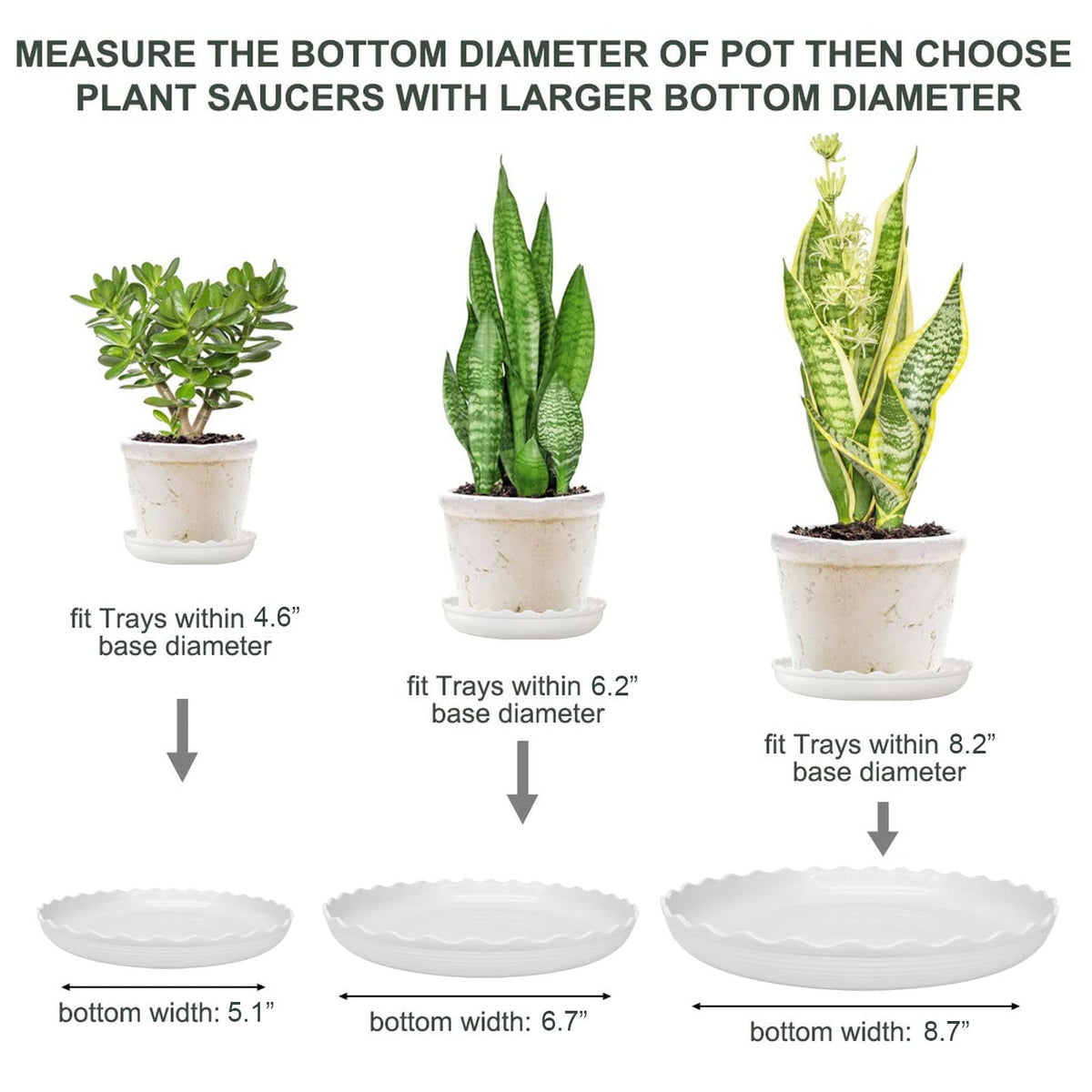 ECOESPTI plant saucer 10-inch offers large surface to shield outdoor surfaces