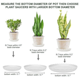 ECOESPTI plant saucer 10-inch offers large surface to shield outdoor surfaces
