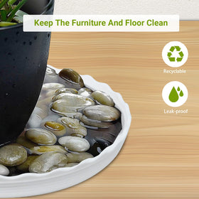 ECOESPTI vegetable tray use versatile dry tray for pots and seedlings