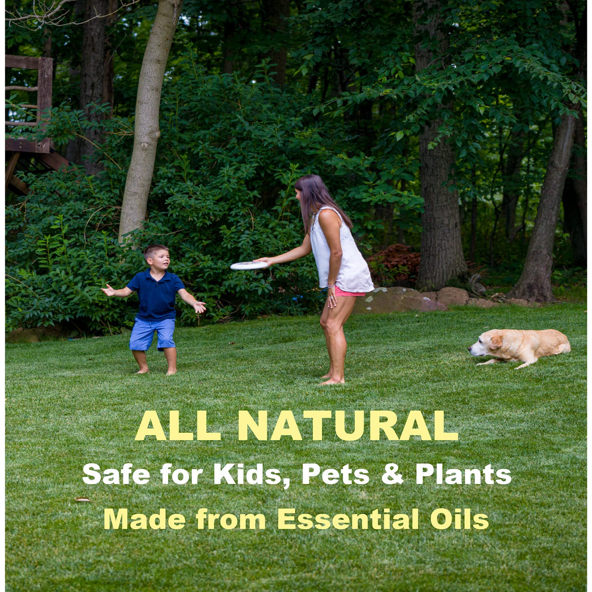 EcoGuard Plus safe around kids and pets when used as directed