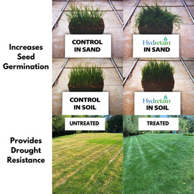 Ecologel Hydretain container-plants illustrates improved root-zone hydration in pots.
