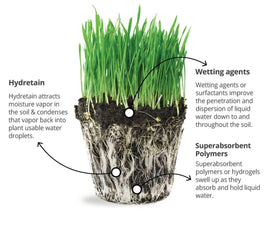 Ecologel Hydretain lawn-coverage shows extended soil moisture between waterings.