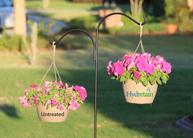 Ecologel Hydretain seed-establishment highlights better germination and establishment in new lawns.