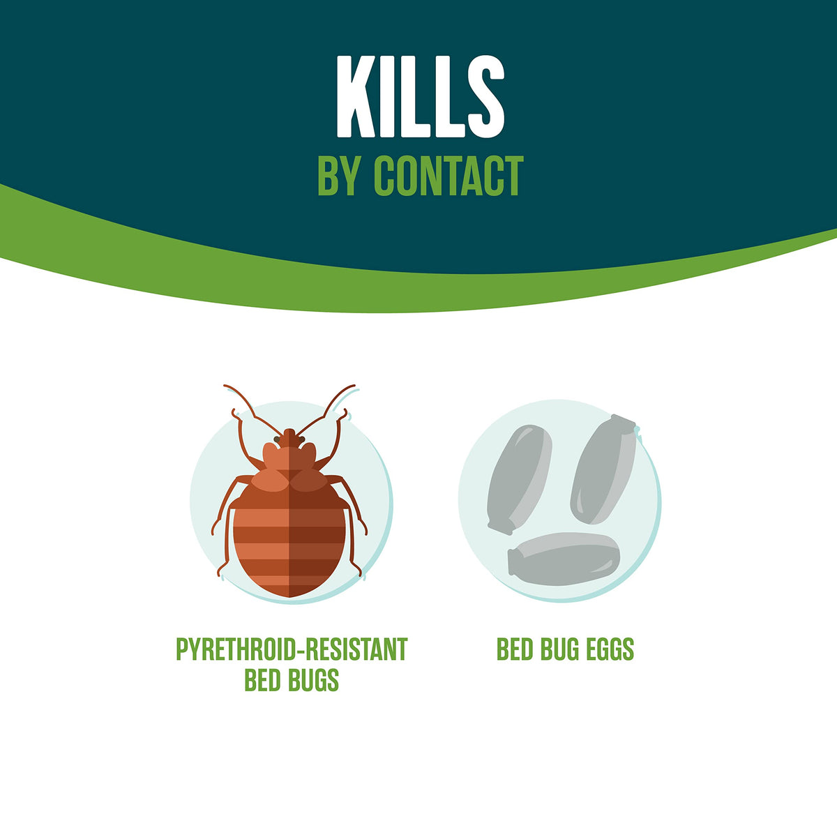 EcoLogic spray in action targeting cracks and crevices for bed bugs