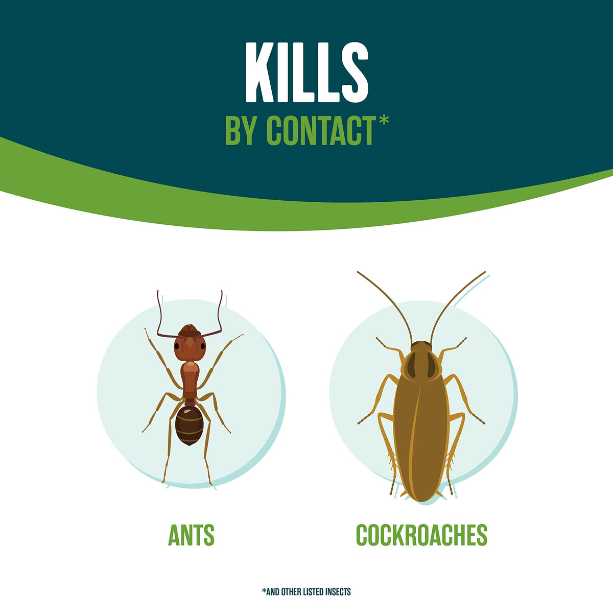 EcoLogic Home Insect Control label close-up shows lemongrass and cornmint oils for safety.