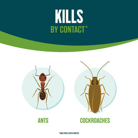 EcoLogic Home Insect Control label close-up shows lemongrass and cornmint oils for safety.