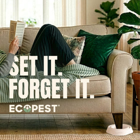 ECOPEST Bed Bug Blocker XL extra large design for wider posts
