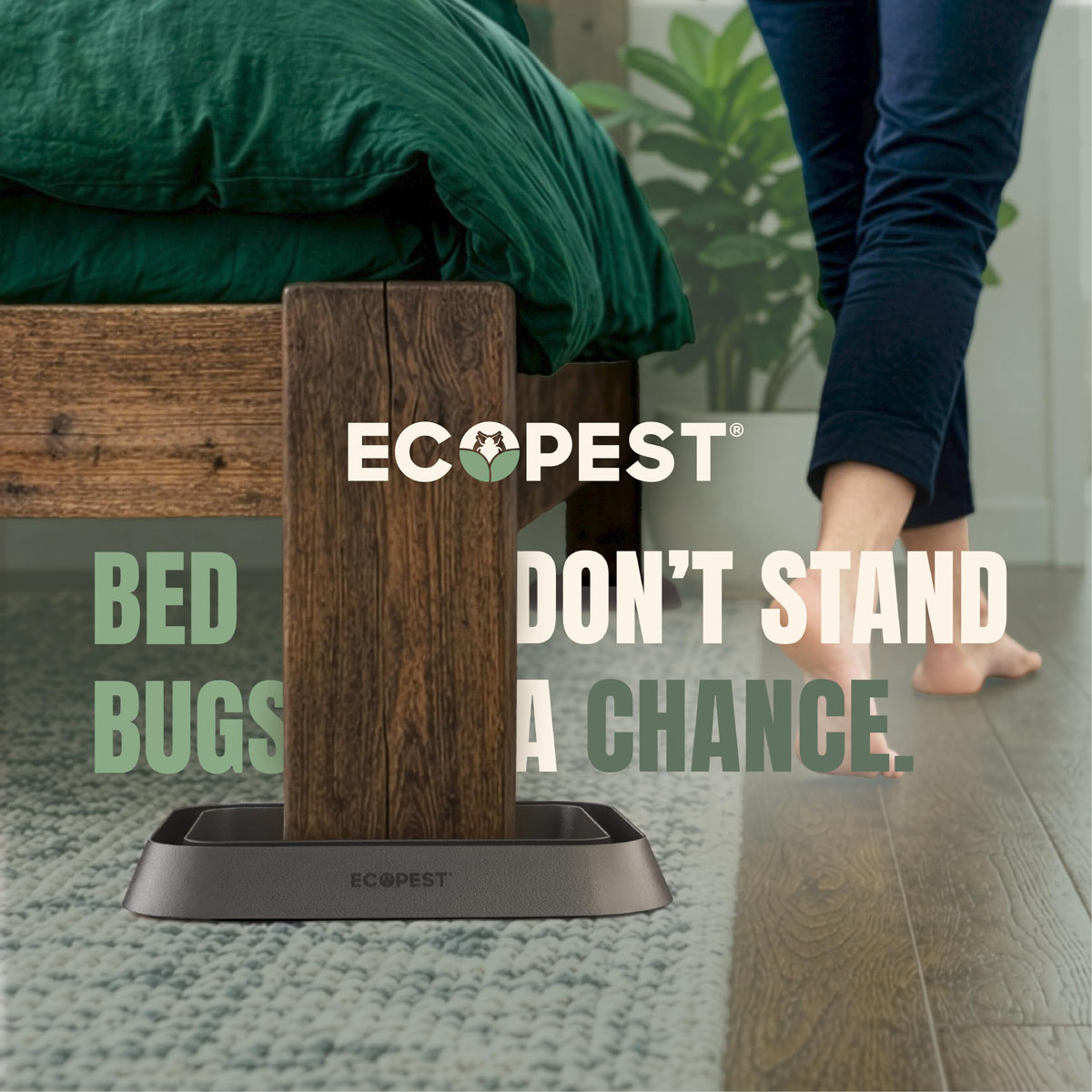 ECOPEST Bed Bug Blocker XL under-bed interceptors in use on furniture legs