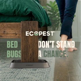 ECOPEST Bed Bug Blocker XL under-bed interceptors in use on furniture legs