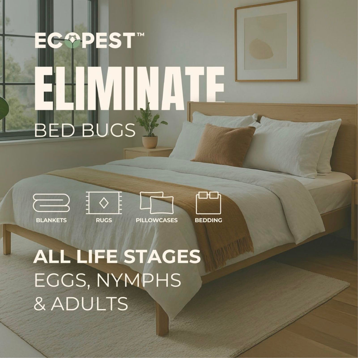 EcoPest Bed Bug Spray on furniture corner for quick use