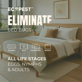 EcoPest Bed Bug Spray on furniture corner for quick use