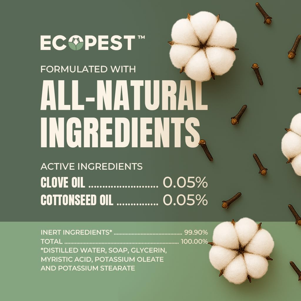 EcoPest Bed Bug Spray at headboard corners to disrupt hiding spots