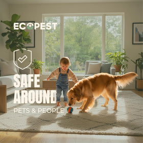 ECOPEST packaging shows twelve traps ready to use.