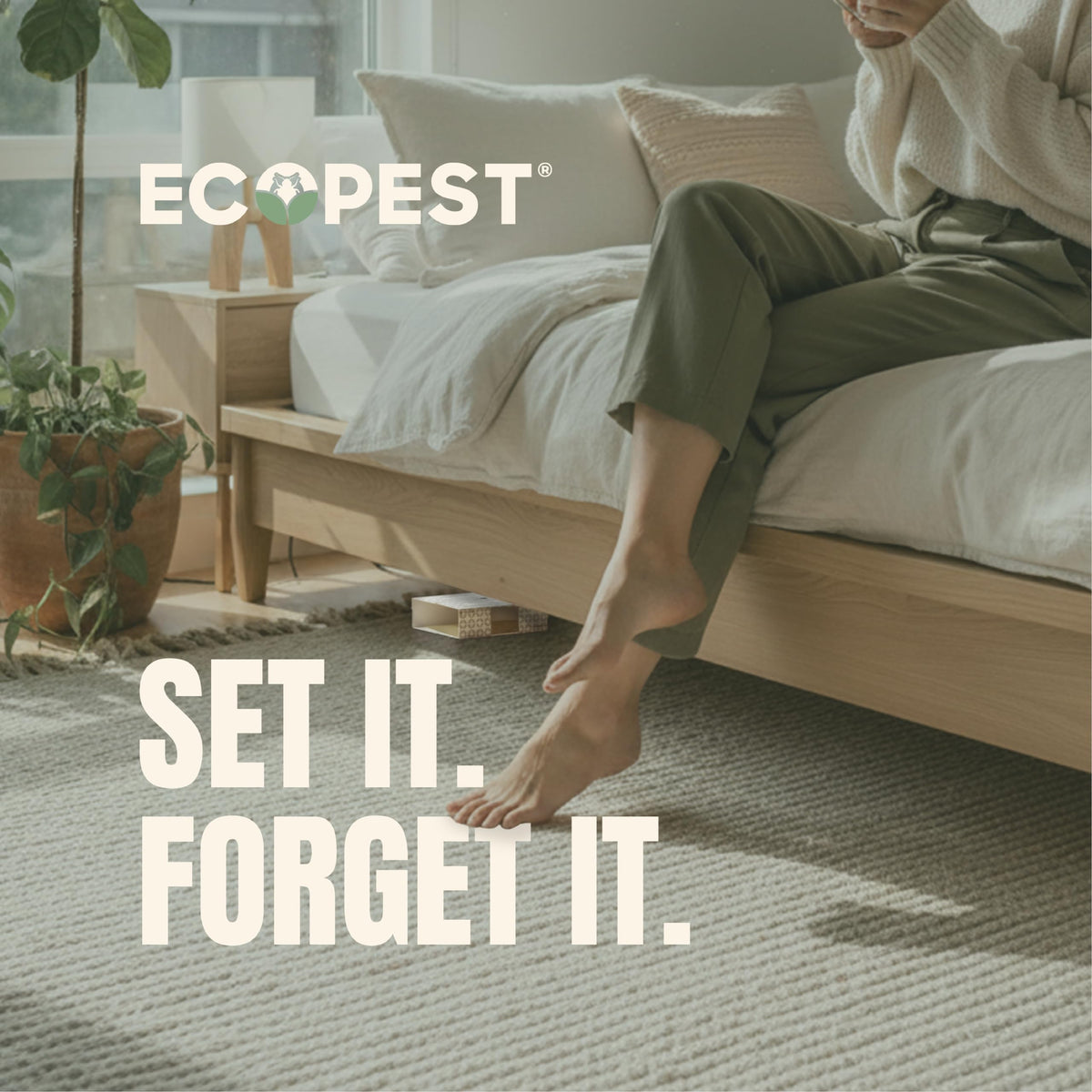 ECOPEST trap in basement corner protecting stored fabrics.