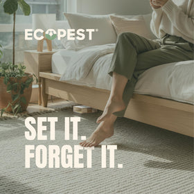 ECOPEST trap in basement corner protecting stored fabrics.